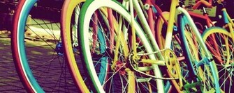 Fixie Under The Tree By Bhevitari