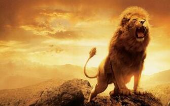 Aslan Narnia Desktop Wallpaper Net