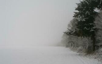 Snow Fog Wallpaper