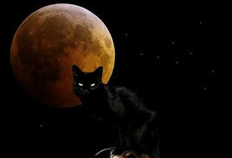 Witchy Moon Cat Wallpaper And Background Image Id