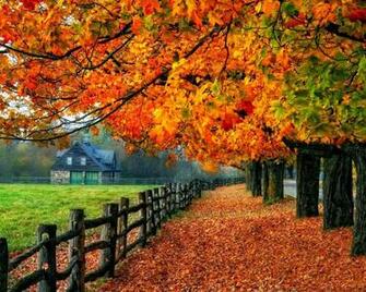 Nature Wallpaper HD
