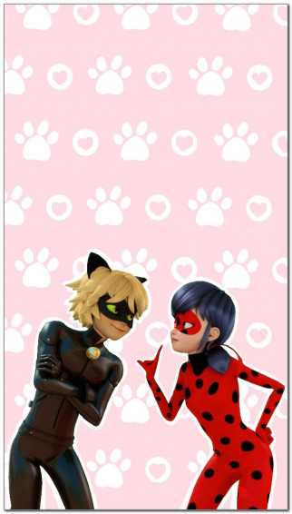 Top Cat Noir Wallpaper Full HD 4k To Use
