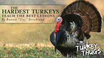 Spring Turkey Hunting Wallpaper Mossy Oak Camo