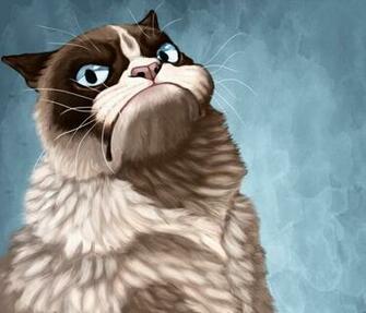 Funny Collection World Find The Best Funniest All