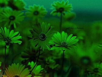 Wallpaper12k4