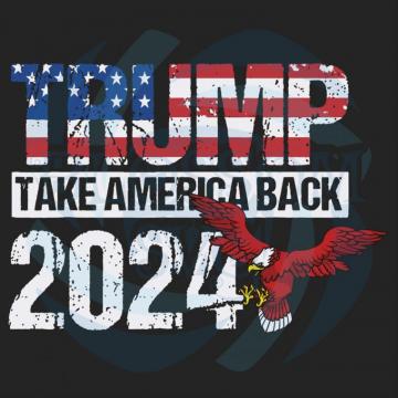 Trump Take America Back Wallpaper