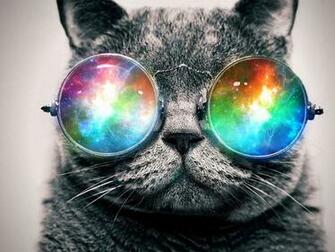 Trippy Cat By Nolvn Y0