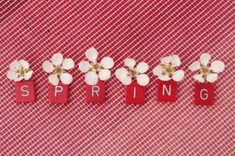 Spring Is Here And With It Brings New Life Hopes Dreams