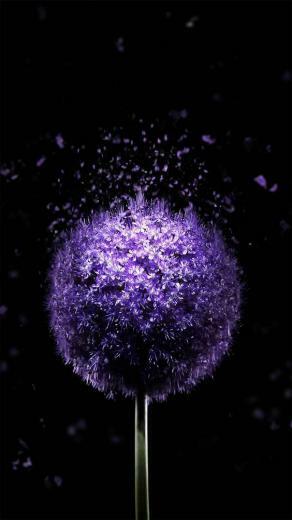 Best iPhone Background Purple Wallpaper