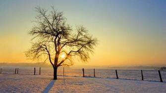 Winter Sunrise Nature Background Wallpaper On Desktop