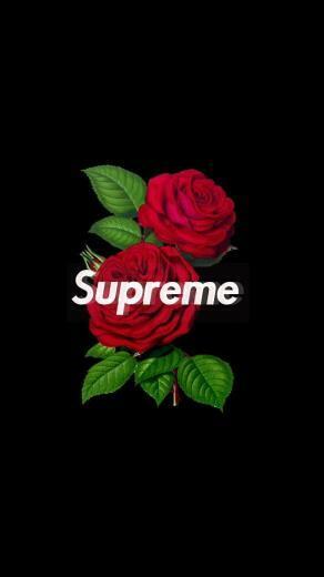 Supreme Wallpaper Google Search On We Heart It
