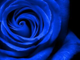 Beautiful Royal Blue Wallpaper HD