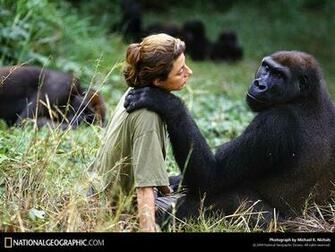 When You Realize The Value Of All Life Dwell Less On
