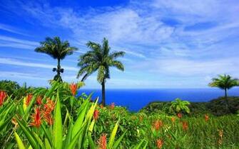 Overlooking The Ocean High Quality And Resolution
