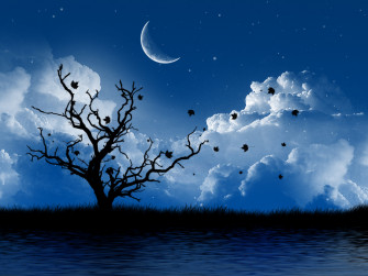 Moon Beautiful Wallpaper Desktop HD