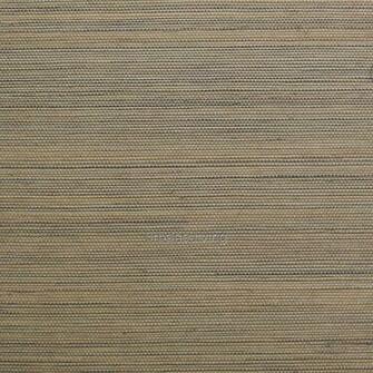 Hidden Thorn Grasscloth Wallpaper Fja502by