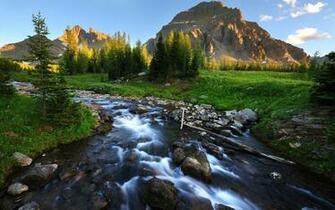 Fly Fishing Wallpaper