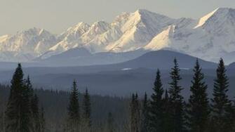 Mountains Scenic Snow Taiga Forest Trees Nature