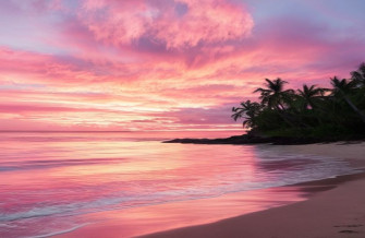 Pink Beach Sunset Wallpaper
