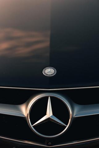 Mercedes Benz Logo Pictures Image