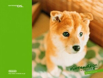 Nintendogs Shiba Inu Wallpaper