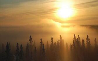 Winter Sun Wallpaper Net