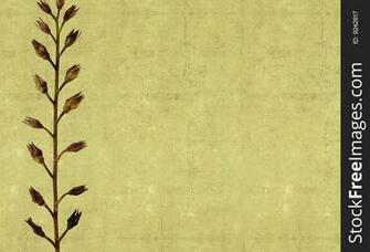 Background Image With Earthy Texture Stock Image Photos