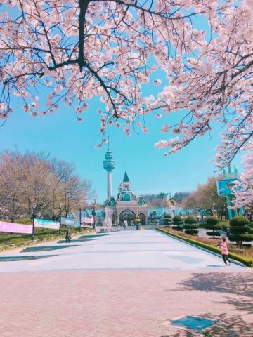 Daegu Korean Wallpaper Top Background