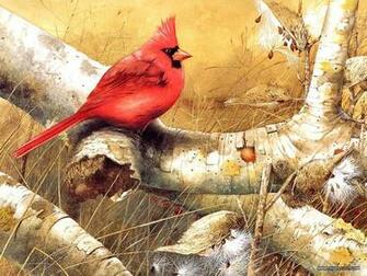 Backyard Birds Beautiful Paintings Small Bird Illustration