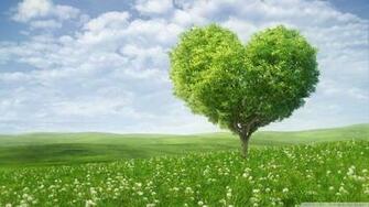 Wallpaper Love Tree 1080p HD Upload At February