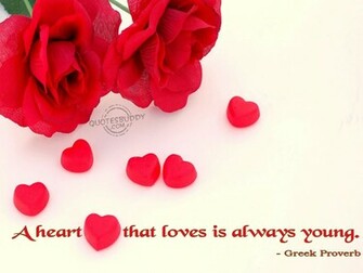 Funny Love Quotes Wallpaper
