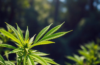 HD Weed Wallpaper 1080p