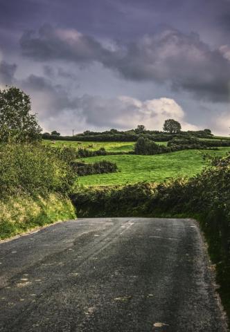 Country Lane Pictures Image
