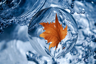 Water Drop Nature Leaf 4k Ultra HD Wallpaper By Hans Benn