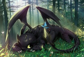 Toothless Hiccup And Train Your Dragon