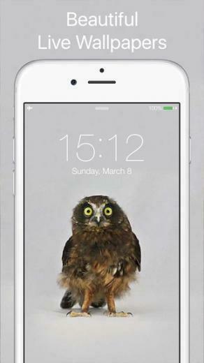 Dynamic Animated Gif Wallpaper For iPhone 6s App Store