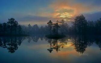 A Wetland In V Stmanland Sweden Hans Strand Getty Image