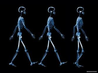 Wallpaper Art X Ray