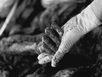 Chilling Photographs Expose The Aftermath Of Srebrenica