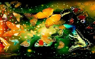 Fondo Pantalla Butterfly Fantasy