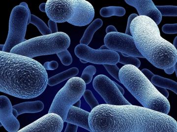 Microbes Wallpaper Top Background