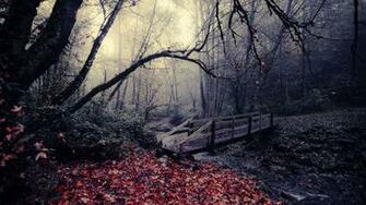 Autumn Red Leaves Bridge X