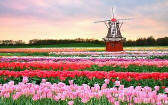 Things To Do In Amsterdam Besides Go A Coffee Shop Those Who