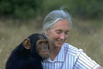 Pin Jane Goodall Picture Wallpaper Animal Planet