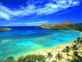 Best Beach Nature Wallpaper Background