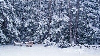 Snow Storm Wallpaper