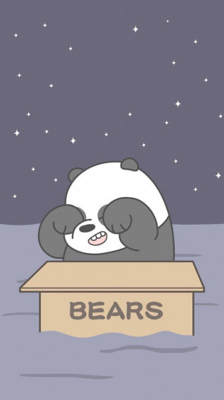 Panda We Bare Bears Wallpaper