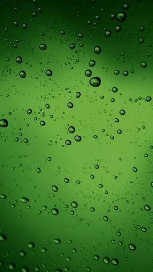 Green Water Droplets The iPhone Wallpaper
