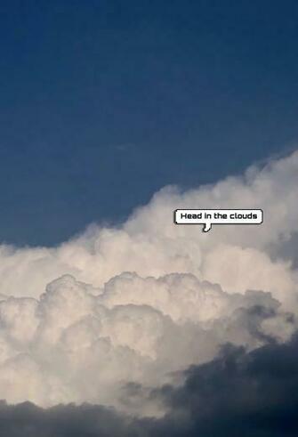 Head In The Clouds With Image Sunflower Wallpaper