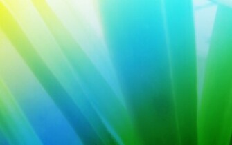 Bright Color Background Wallpaper HD